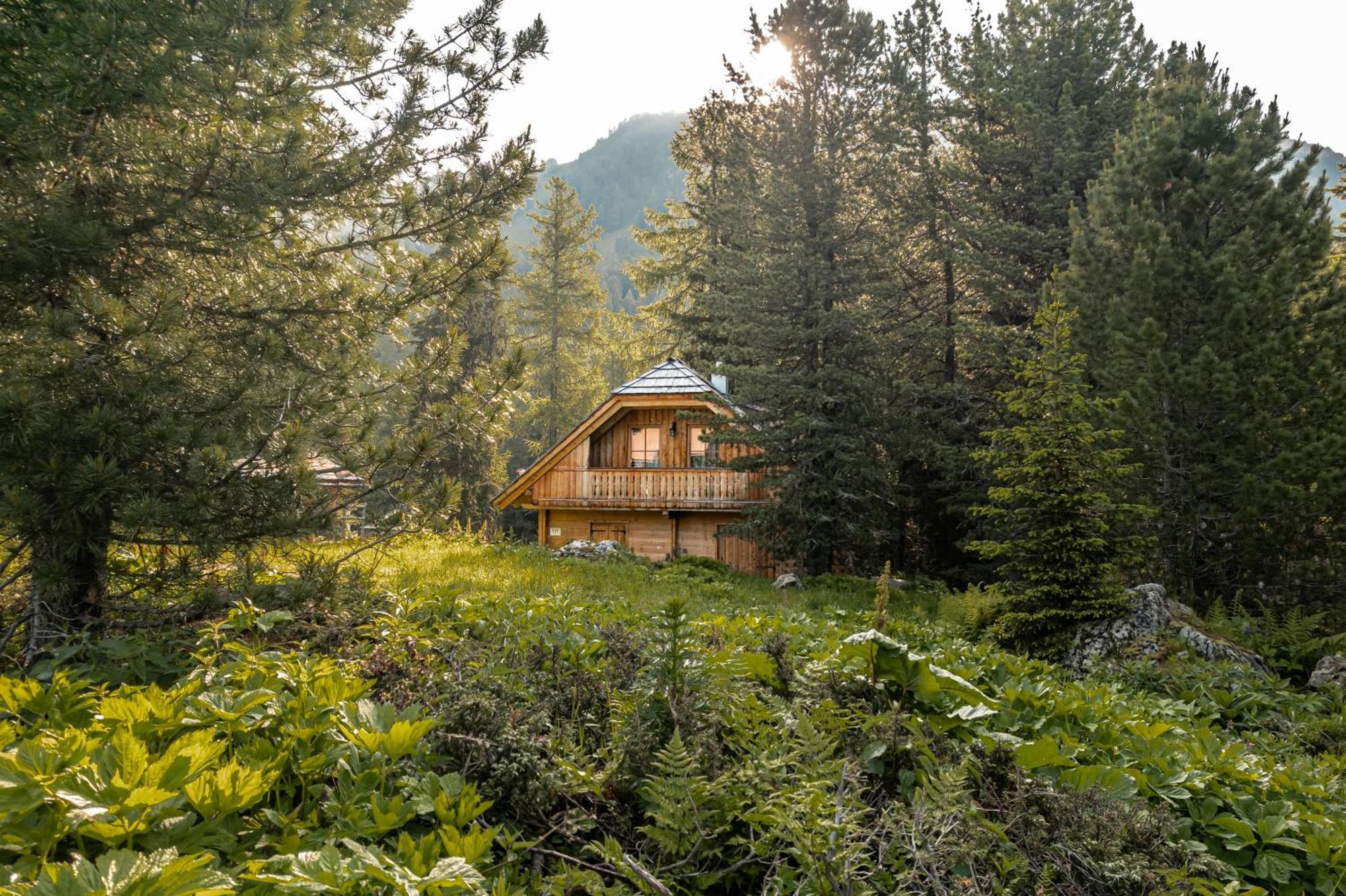Alpin-Huetten Auf Der Turracherhoehe Haus Murmeltier By S4Y Turracher Höhe Kültér fotó
